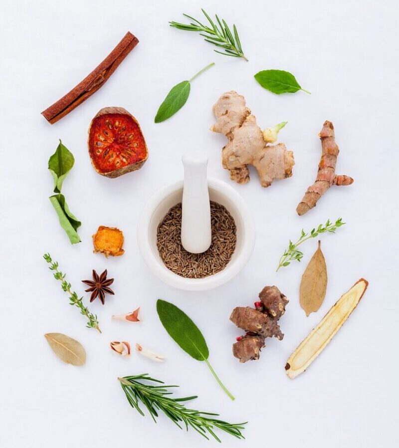 Western Herbal Medicine